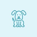 Dogs Foods