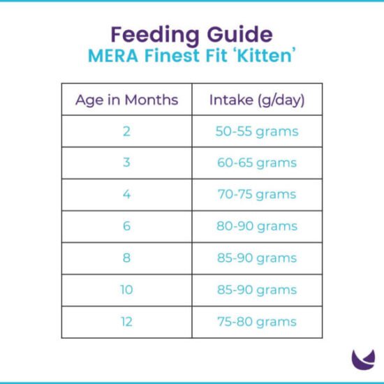 MERA-finest-fit-food-for-Kitten-feeding-quantity-guide-03-600x600 MERA-finest-fit-food-for-Kitten-feeding-quantity-guide-03-600x600