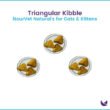 NourVet-Naturals-Cat-Food-Dry-Kibble-04-600x600