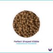 Pawfect-Cat-Food-Dry-Kibble-picture-02-600x600