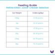 Petline-Kitten-Food-Chicken-Selection-feeding-guide-03-600x600