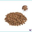 Petline-Kitten-Food-Chicken-Selection-kibble-02-600x600