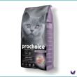 Prochoice-Kitten-food-Lamb-Rice-600x600