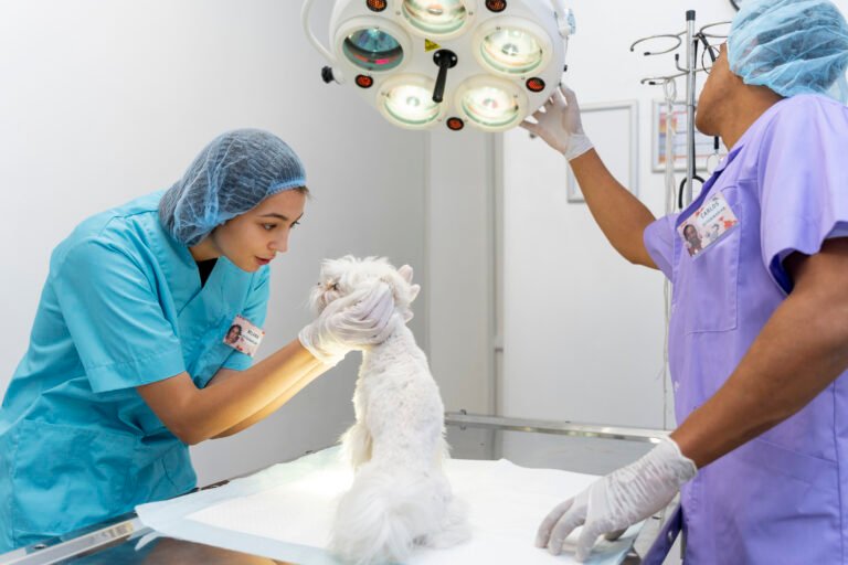 Soft Tissue Surgery