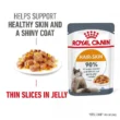 rc_fcn_hair_skinpouchjelly_1_en_gb_5