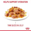 rc_fcn_hair_skinpouchjelly_7_en_gb_8