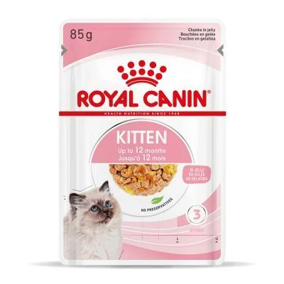 rc_spt_wet_kitten_gelatina_mv_3_pt_pt_7 rc_spt_wet_kitten_gelatina_mv_3_pt_pt_7
